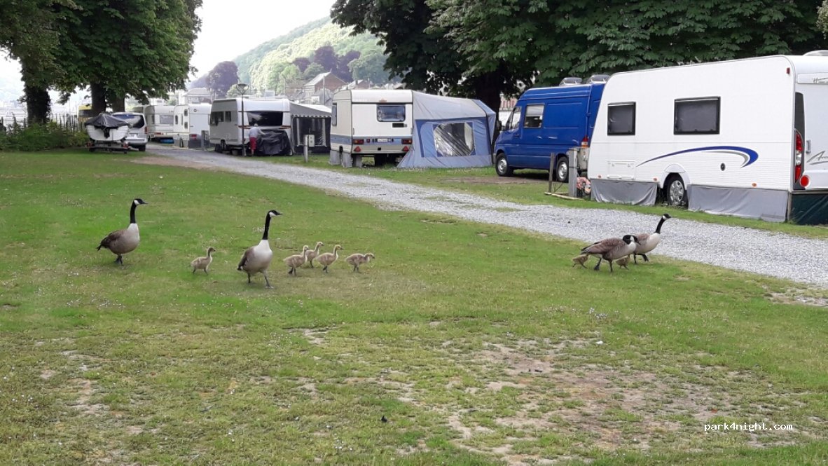Camping Devant-Bouvignes — foto