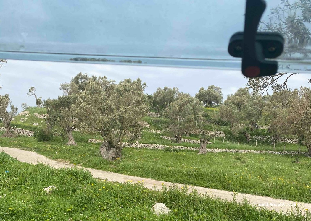 (35980) - Sahil Yolu Caddesi — foto 3