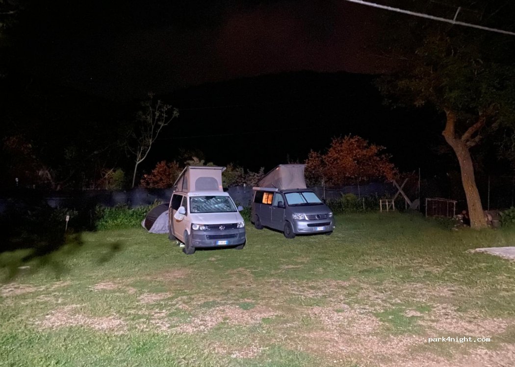 Olly Farm - Agricampeggio — foto 4