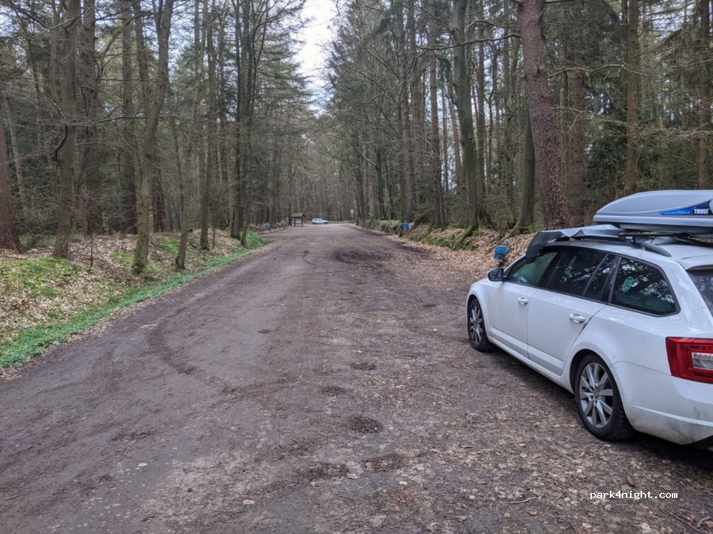 (26215) Wiefelstede - — foto