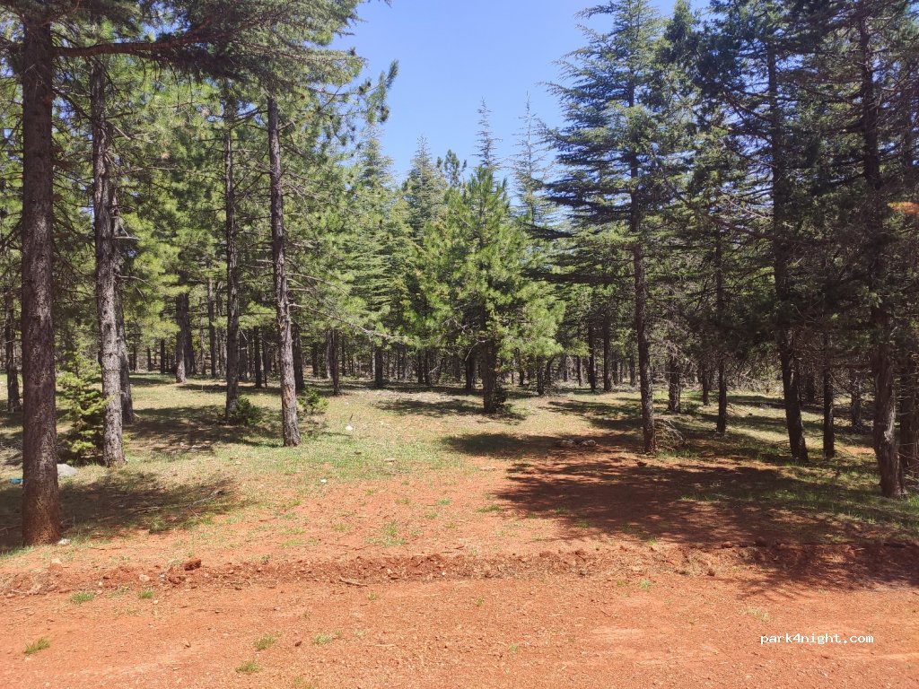 (33530) - Adana Aksaray Yolu — foto 2