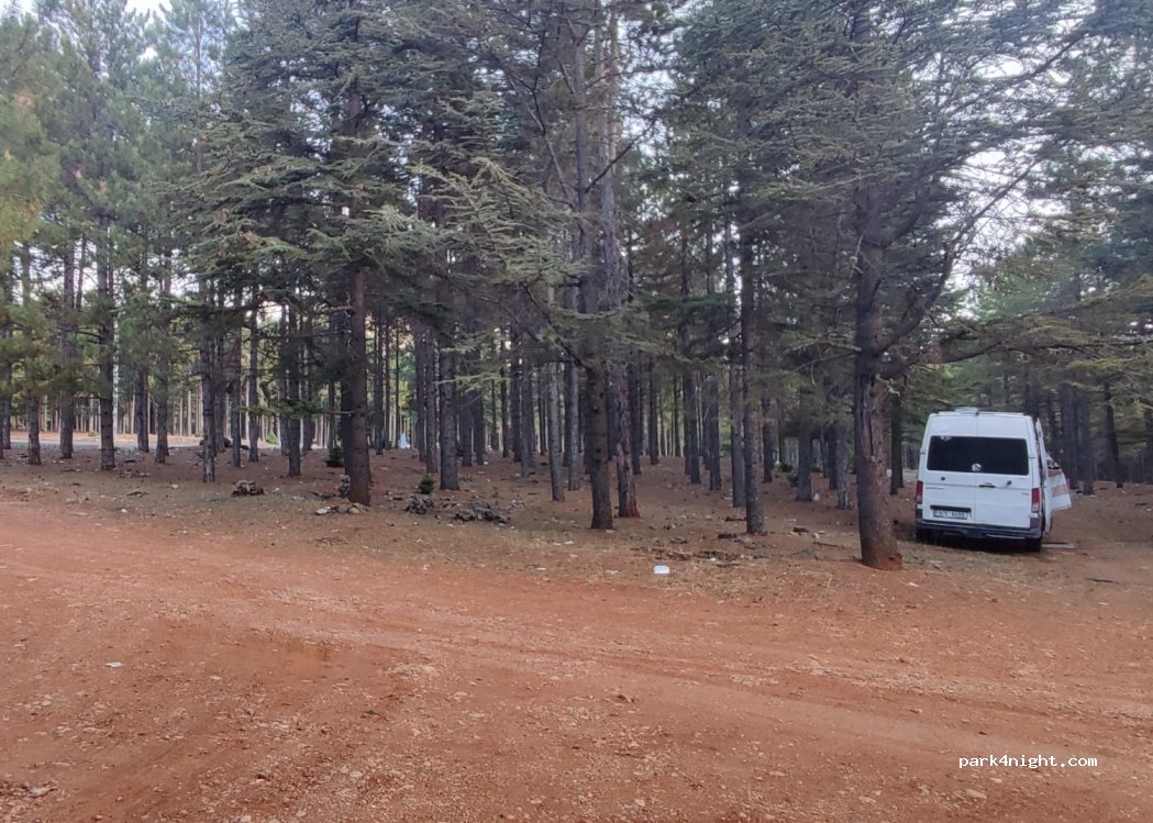 (33530) - Adana Aksaray Yolu — foto 4