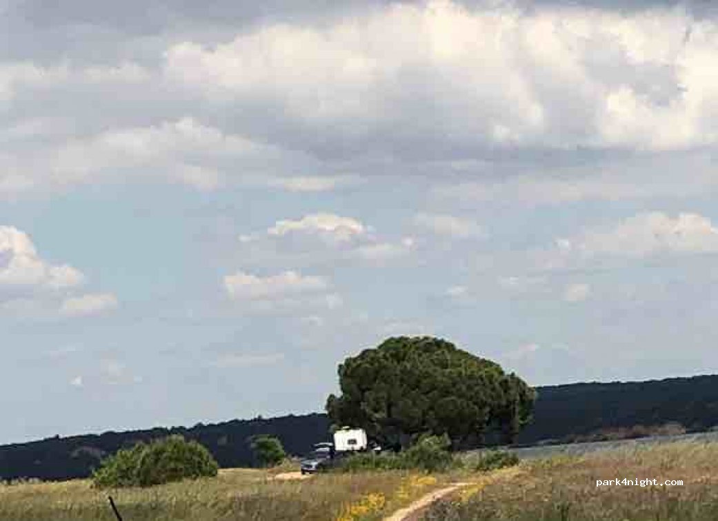 (7425) Montargil - Unnamed Road — foto