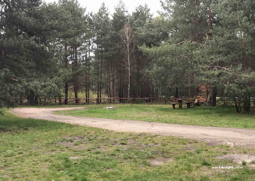 (42-253) Janów - Droga Wojewódzka 793 — foto