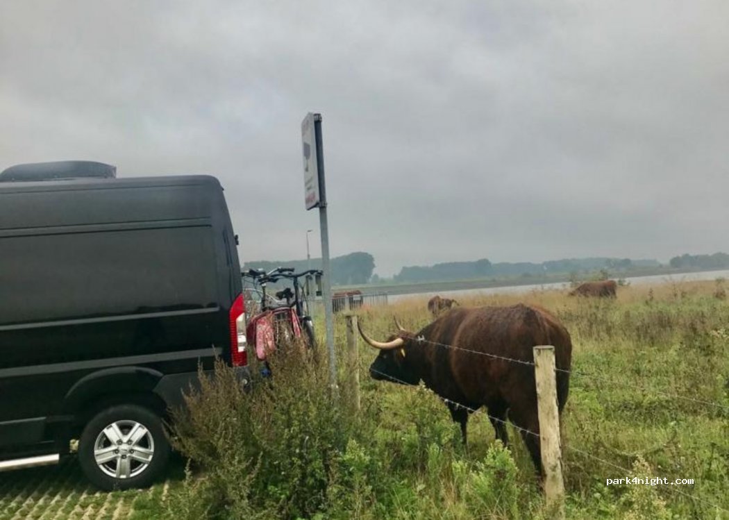 (4005 MA) Tiel - 50 Echteldsedijk — foto 2