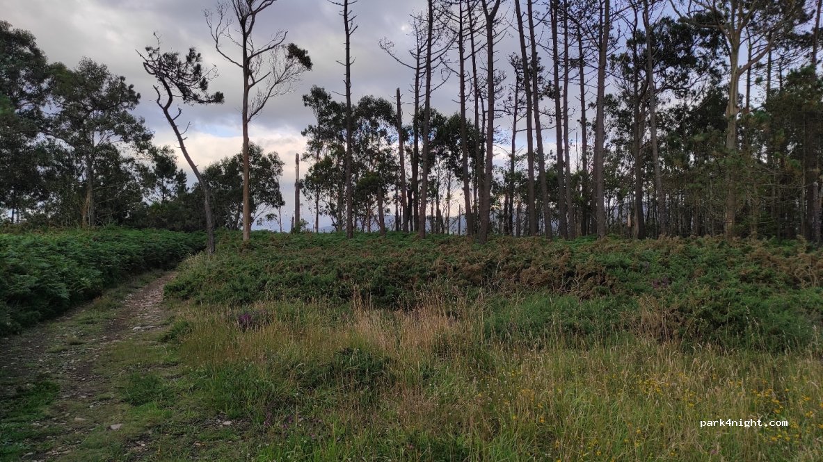 (33746) El Franco - Unnamed Road — foto