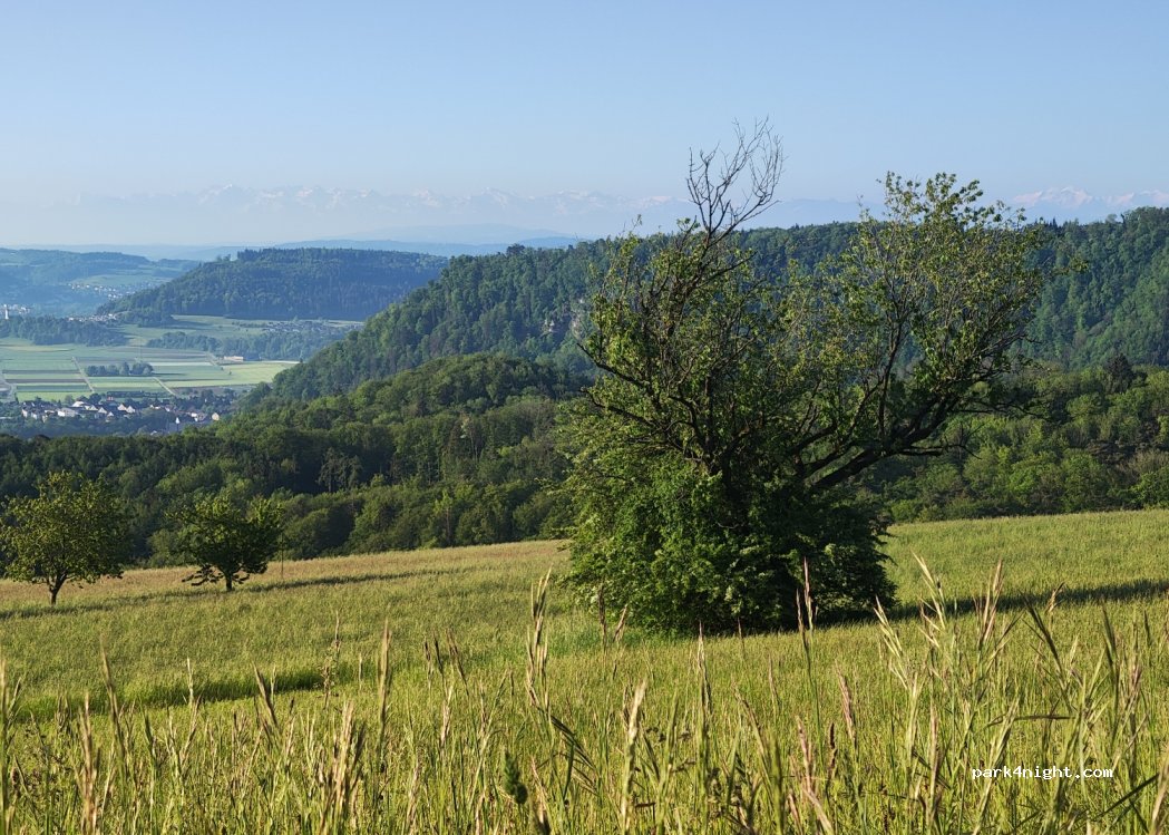 (5234) Mandach - Grünegg — foto 3