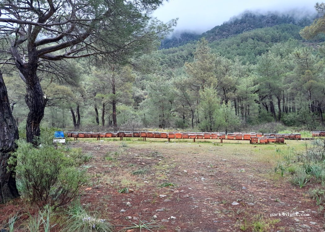 (07350)  - Unnamed Road — foto 2