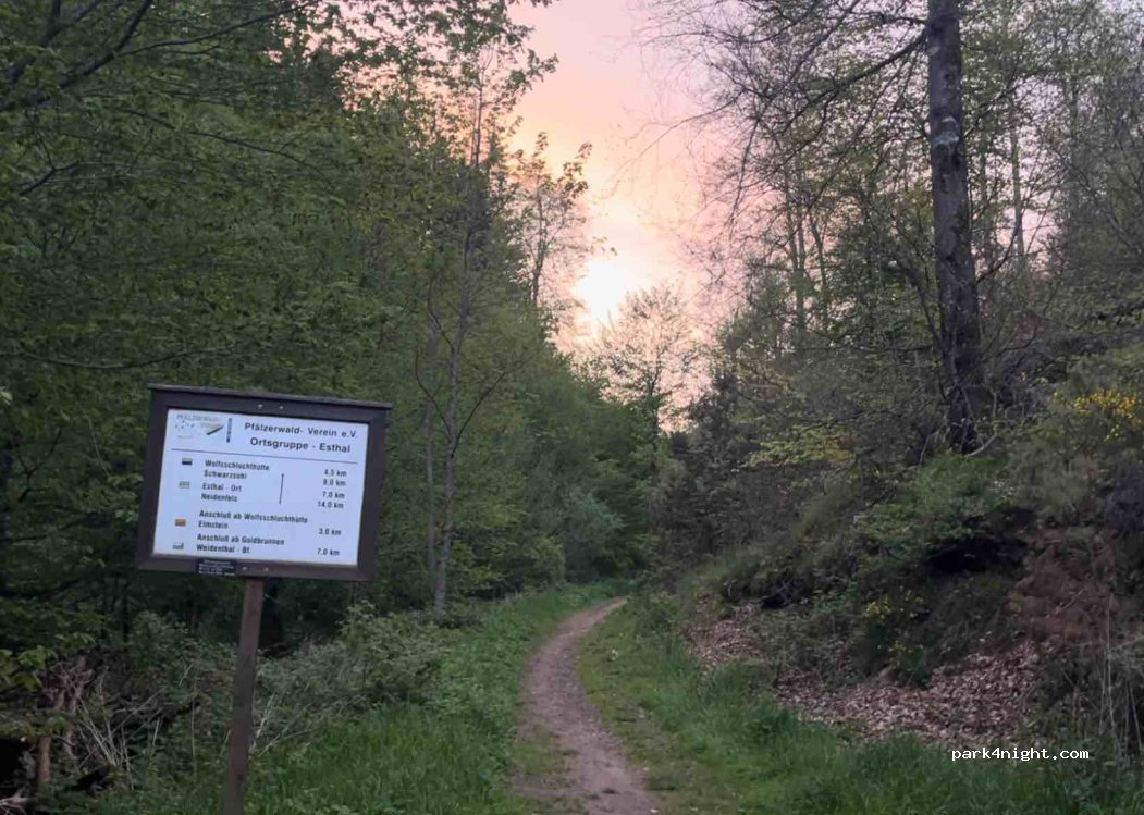 (67466) Esthal - Unnamed Road — foto 2