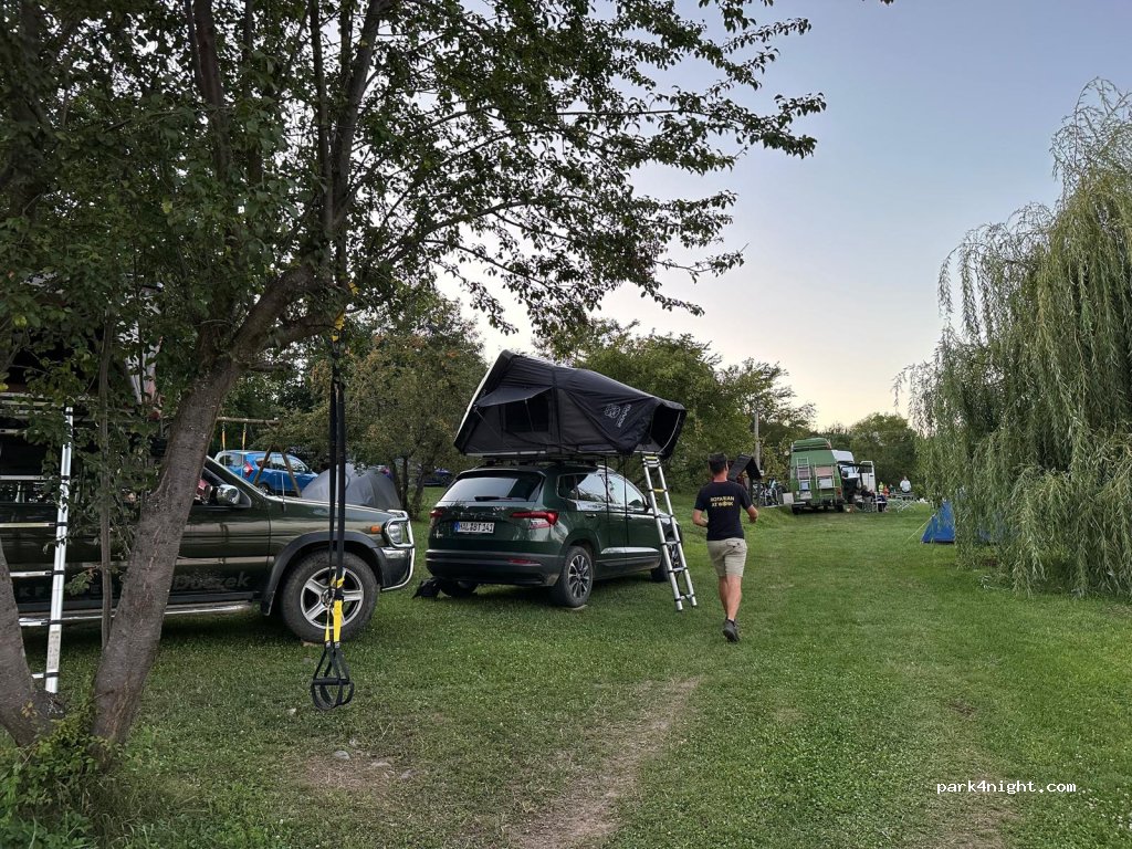 Camping Ananas — foto 2