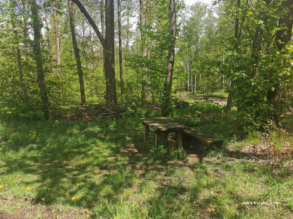 (04779) Wermsdorf - — foto 2