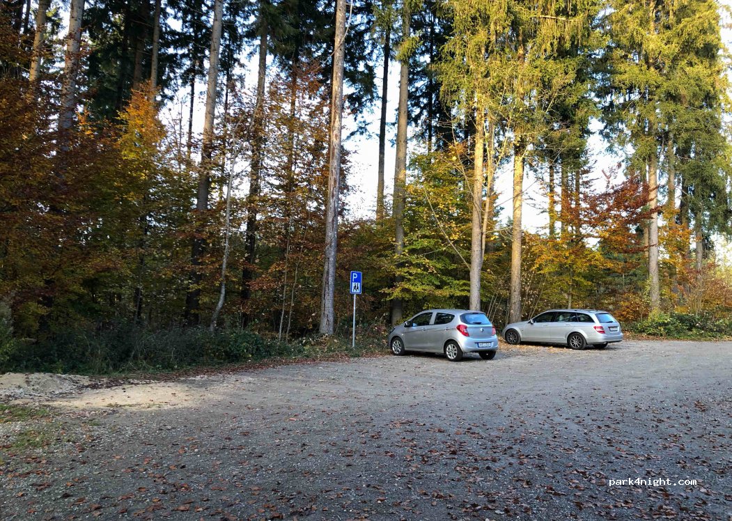 (88639) Wald - K8216 — foto 3