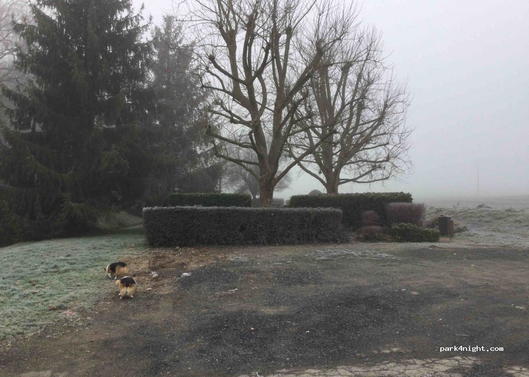 (77260) Sept-Sorts - Chemin du Patis — foto