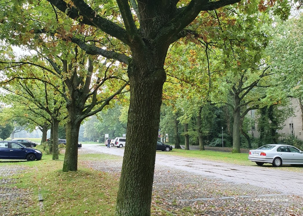 (45964) Gladbeck - 301 Bohmertstraße — foto 2