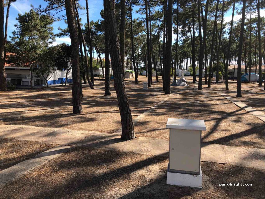 Campiférias — foto