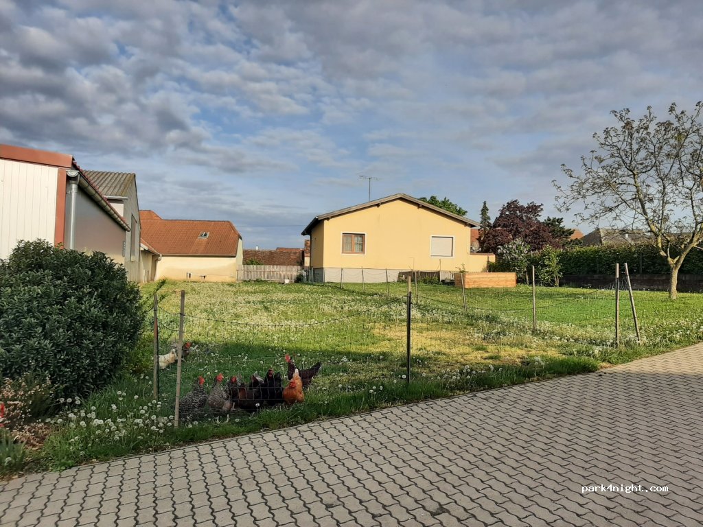 Weingut Franz Raith — foto 2