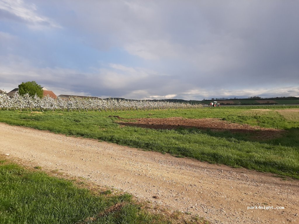 Weingut Franz Raith — foto 3