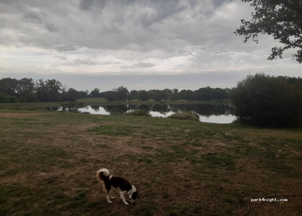 (23170) Budelière - — foto 3