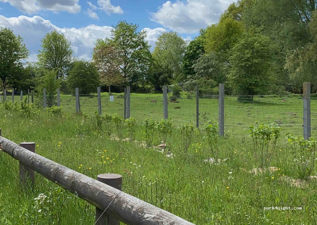(24211) Preetz - 21 Castöhlenweg — foto