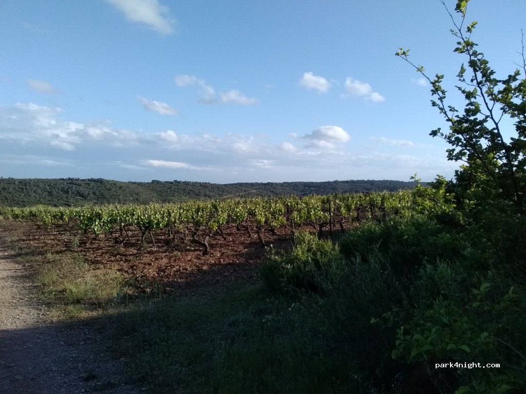 (34360) Saint-Chinian - Unnamed Road — foto 2