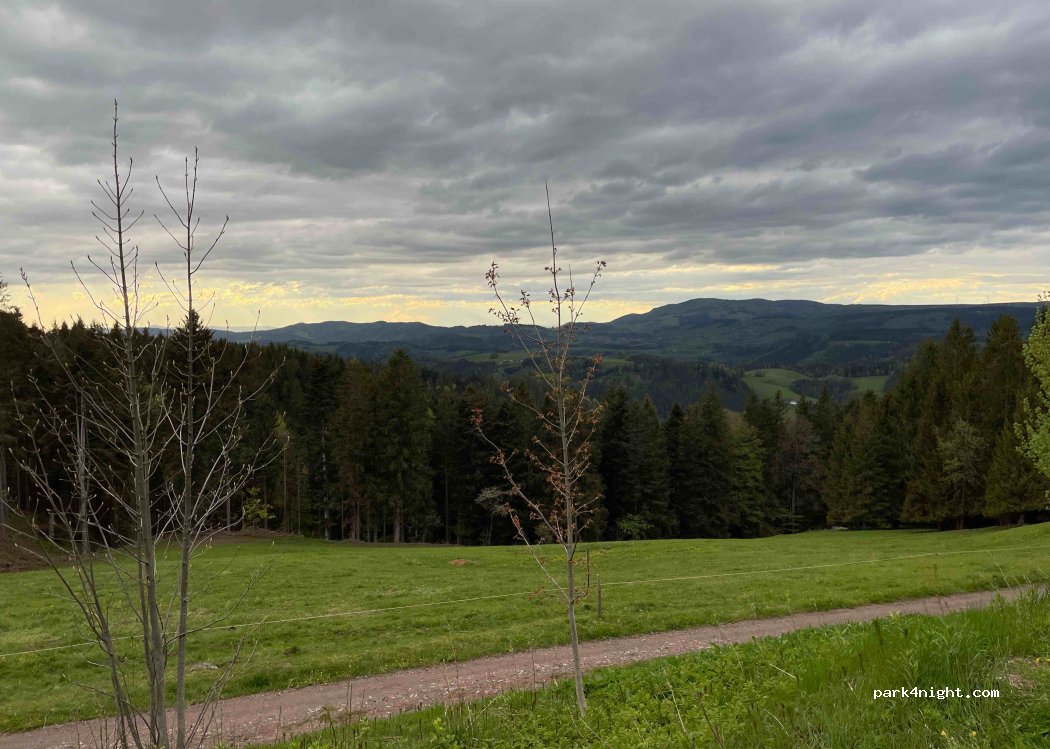 (79874) Breitnau - 18 Fahrenberg — foto