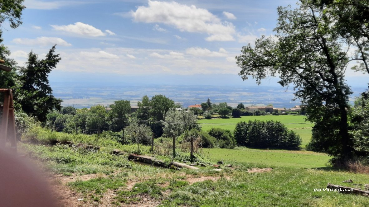 La farmily — foto 2