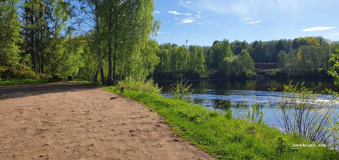 (781 68)  - Högsvedsvägen — foto