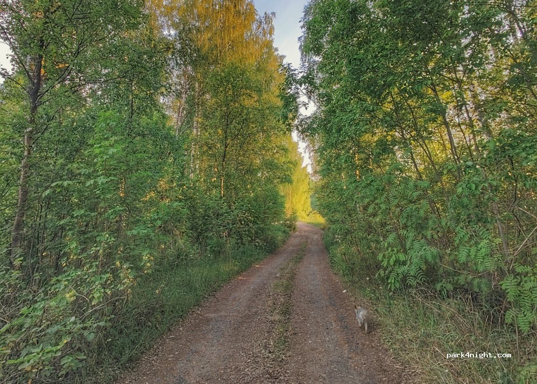 (781 68)  - Högsvedsvägen — foto 4