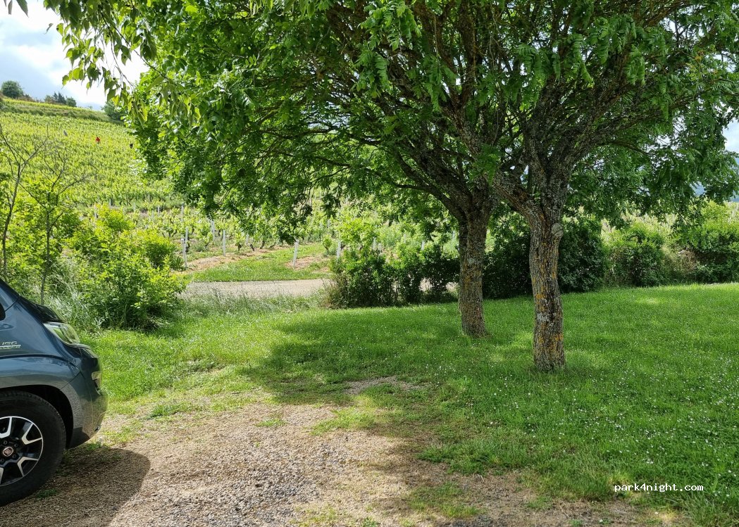 (69620) Val d'Oingt - Route du Bois d'Oingt — foto 3