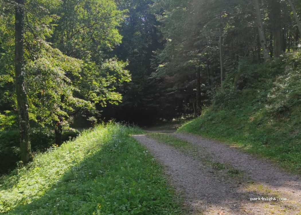 (33026) Paluzza - Via San Daniele — foto 2