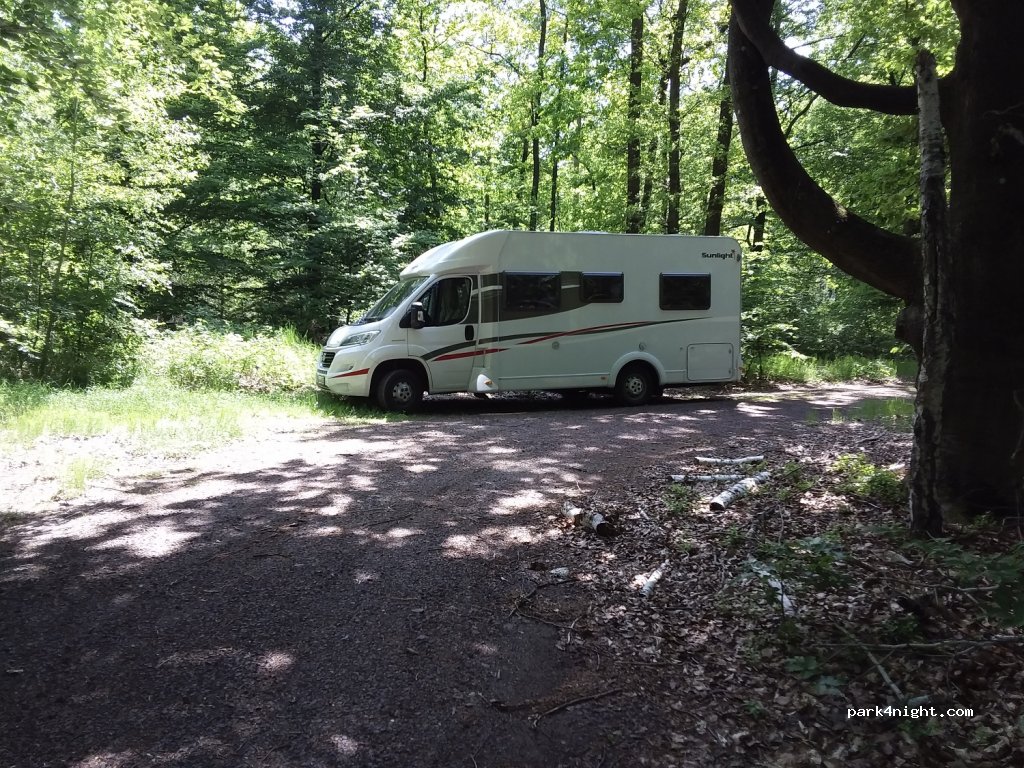 (39264) Nedlitz - B246 — foto 3
