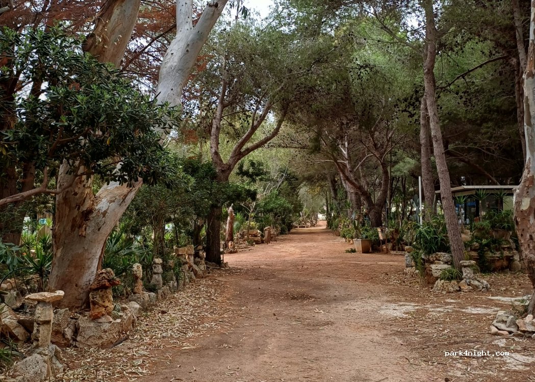 Camping Paradiso — foto 4
