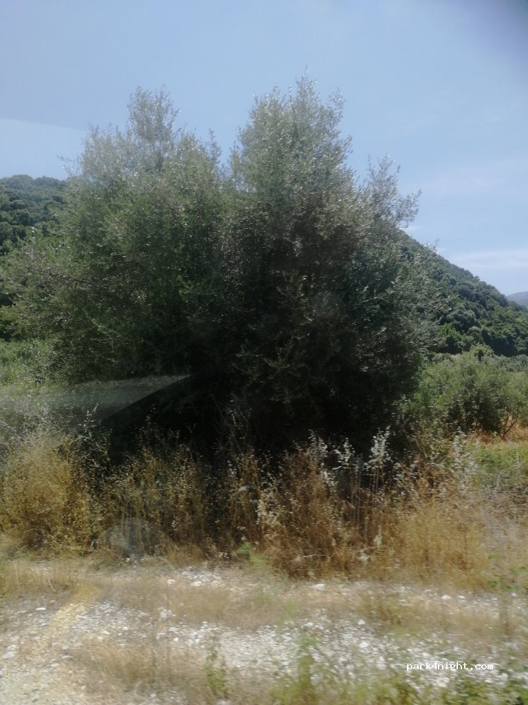 (300 02) Vonitsa - Ethniki Odos Amfilochias Lefkadas — foto