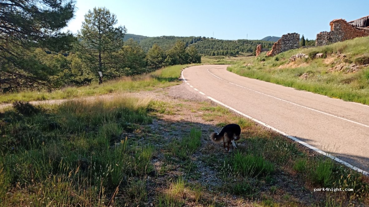 (44707) Cañizar del Olivar - Unnamed Road — foto