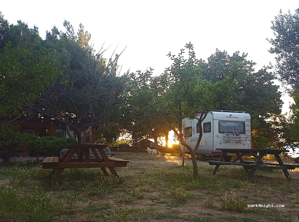 Agora Kamping — foto 2