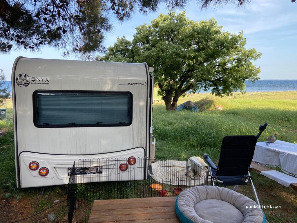 Agora Kamping — foto 5