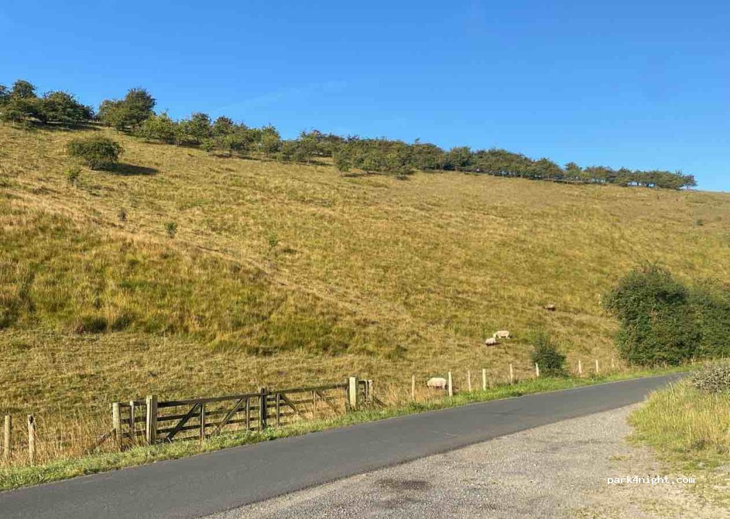 (YO17)  - Unnamed Road — foto 5