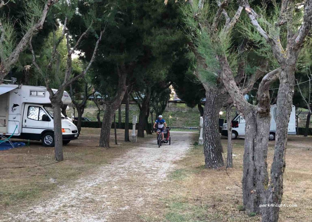 Camping Led Zepellin — foto 2