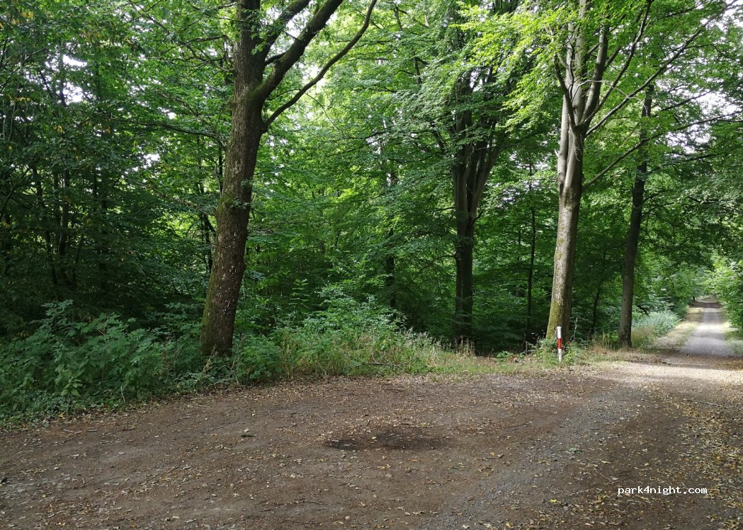 (5590) Ciney - Rue du Cortée — foto