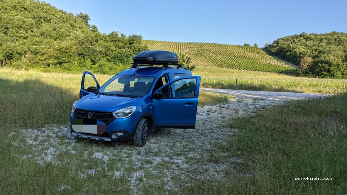 (53019) Selvole - Strada Comunale 17 — foto 3