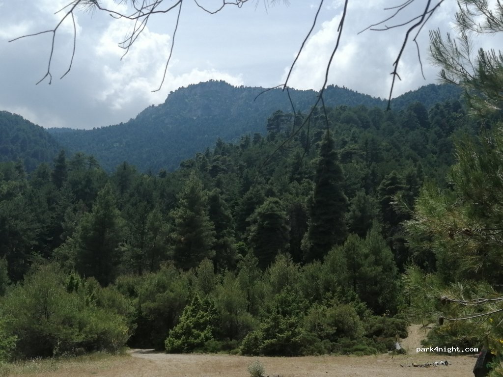 (250 06) Akrata - Eparchiaki Odos Ano Potamias-Valimis — foto