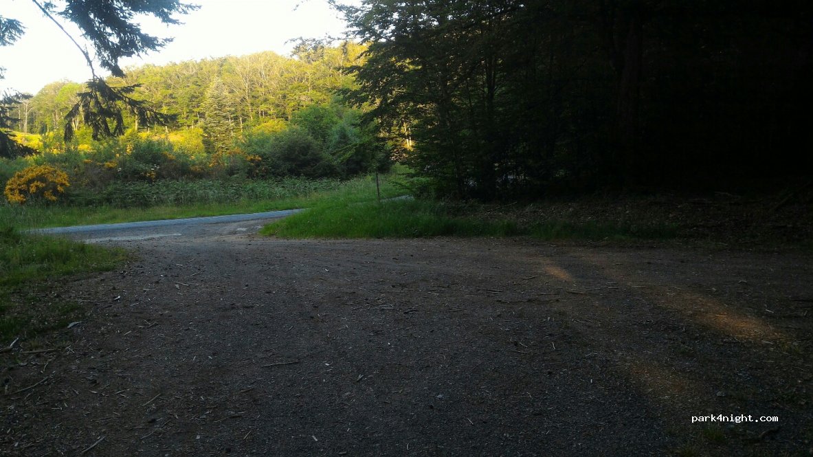 (12360) Brusque - D12 — foto