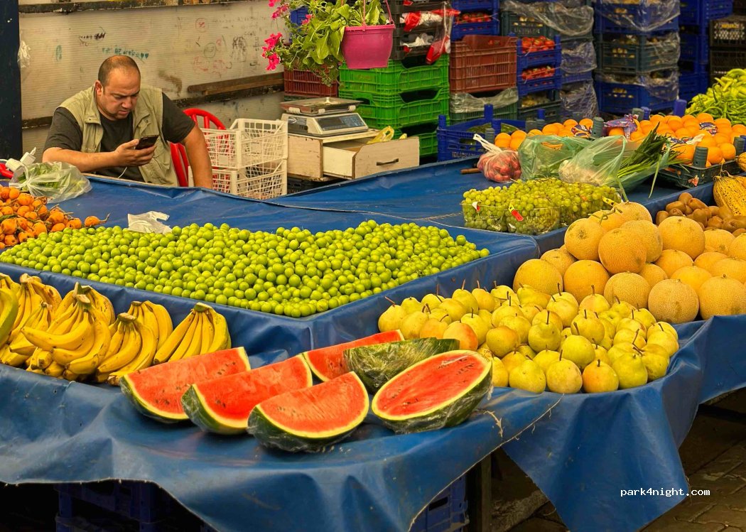 (17000) - Setboyu Caddesi — foto 4