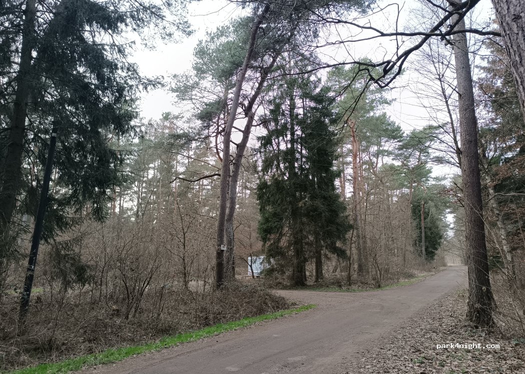 (23879) Mölln - 17 Görlitzer Ring — foto 4
