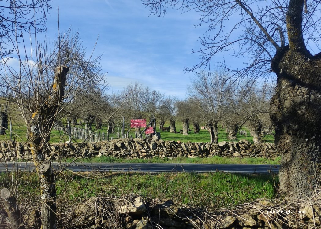 Camping D'oremor — foto 2