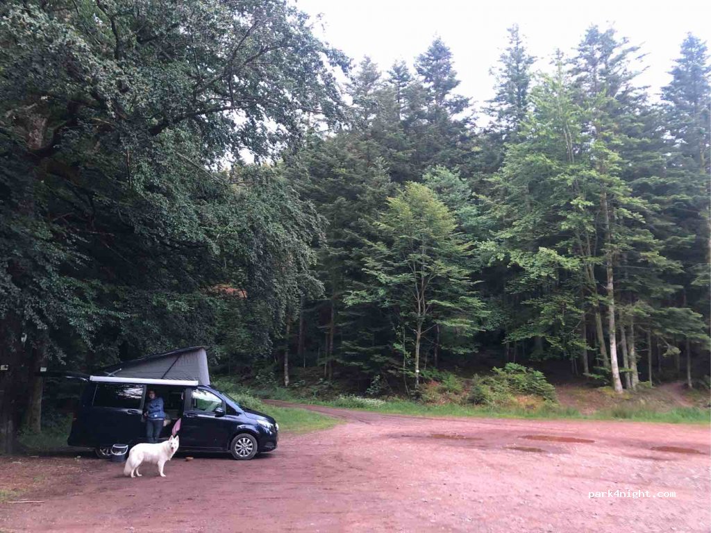 (88210) Denipaire - Unnamed Road — foto