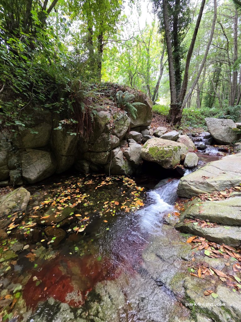 Les Illes/ Nova Forest — foto 4