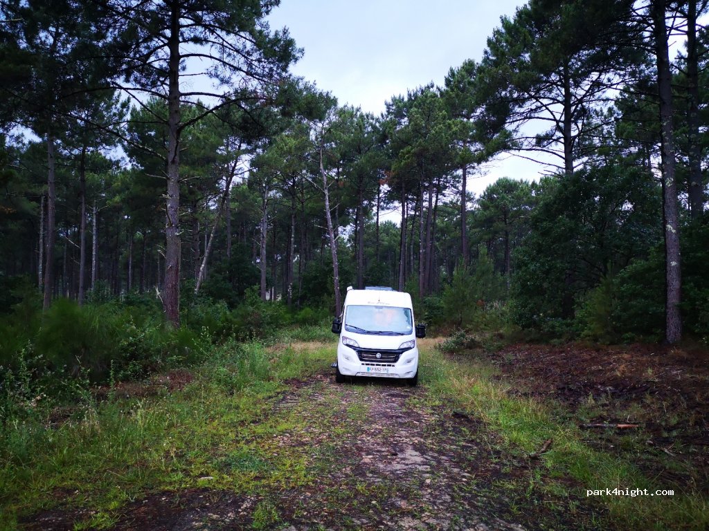 (40200) Mimizan - Route de Lespecier — foto