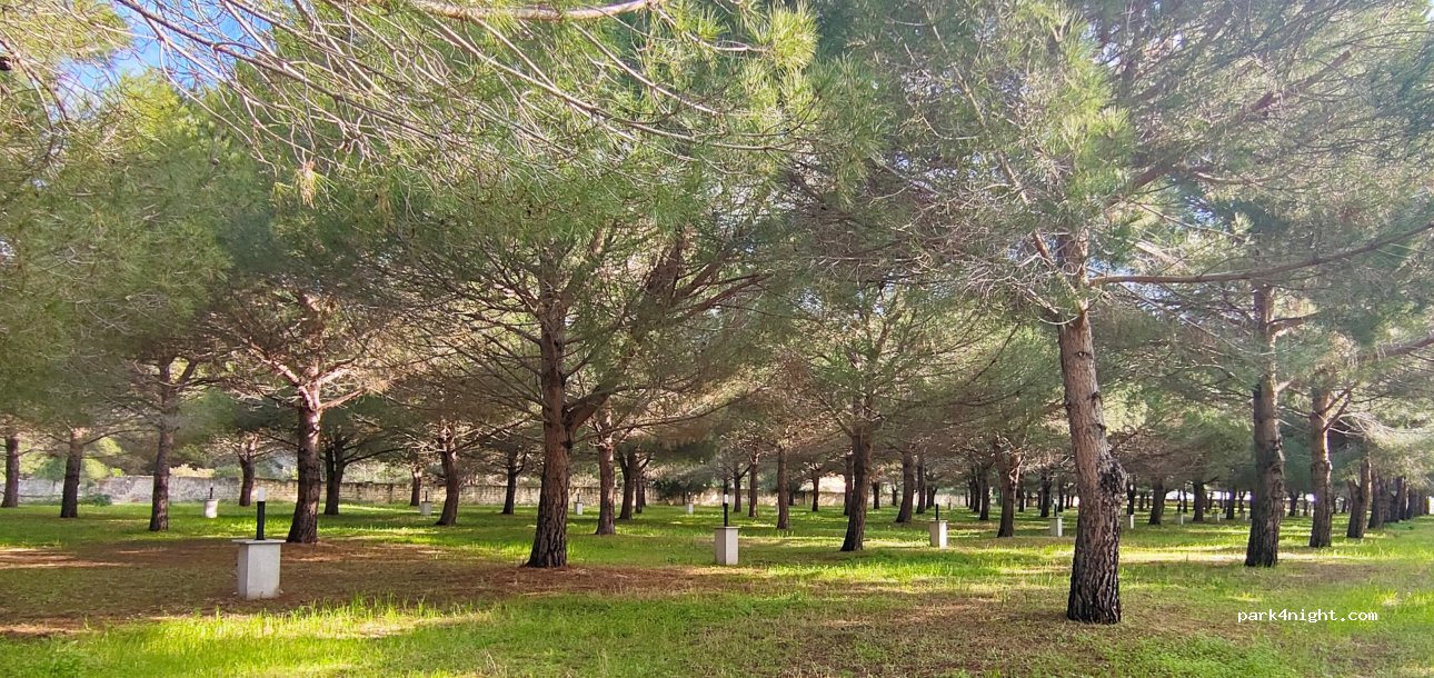 Mecca Club | Campeggio -Glamping & Case Vacanze — foto 3