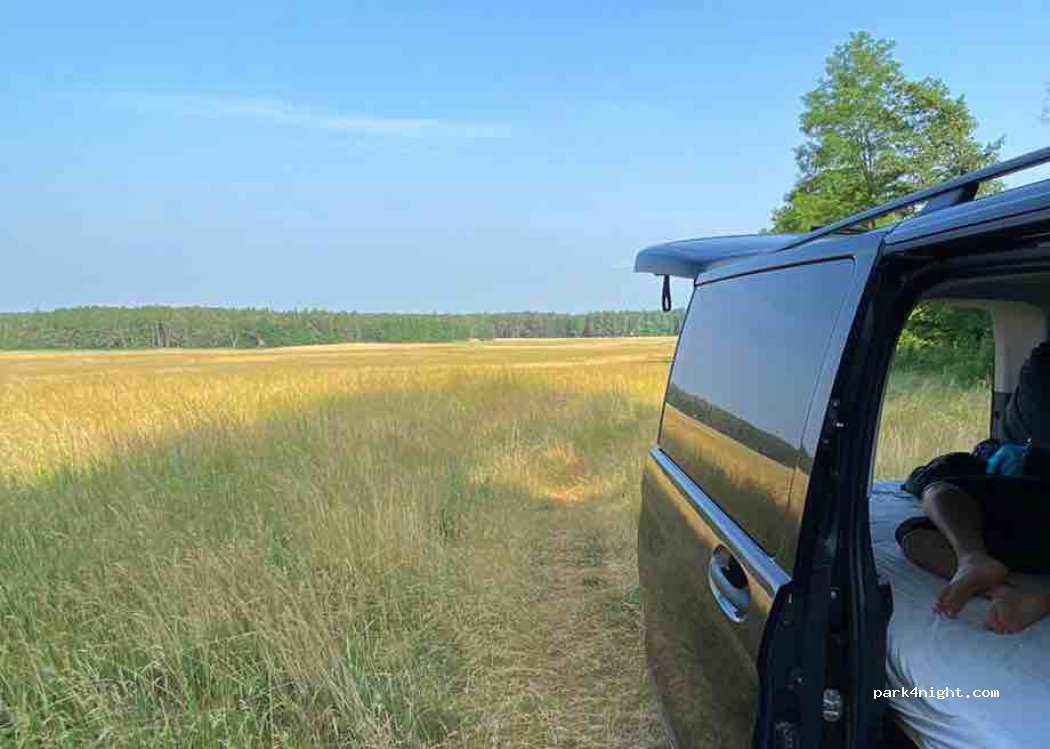 (908 77) Borský Mikuláš - Unnamed Road — foto